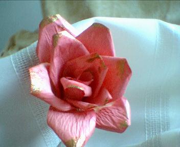 Pink gold edged roses