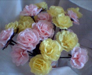 Assorted Carnation