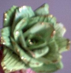 Mini Green Paper Roses