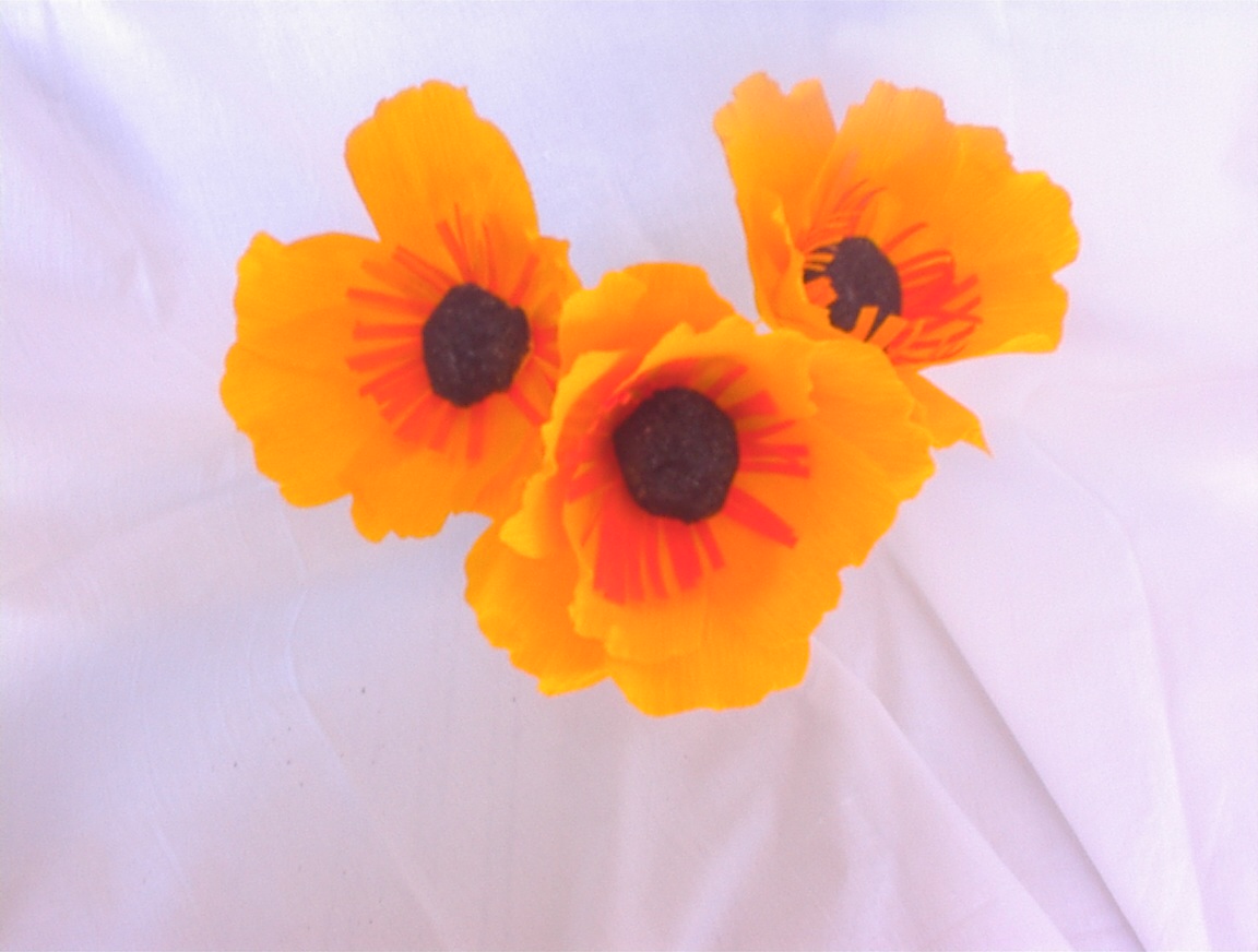 Peach Calla Lillies and White Flowers Center Table Arrangement