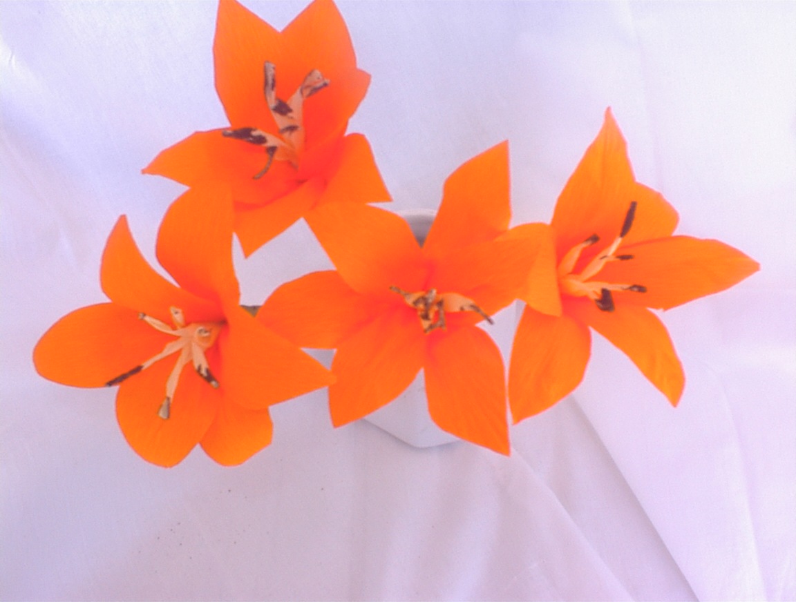 Orange Lillies