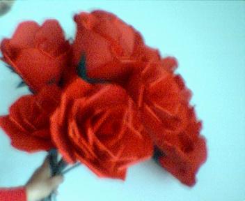 Large Red Rose