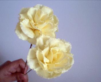 Yellow Carnations