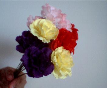 Assorted Carnations