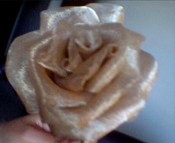 Gold Brocade Rose