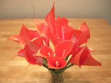 Satin Calla Lillies